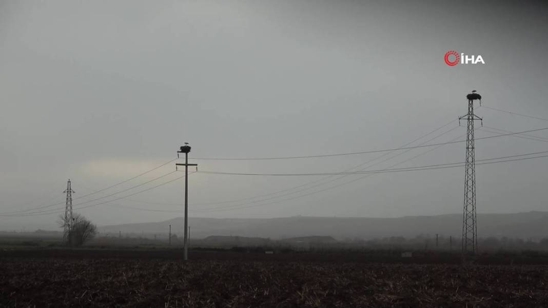 O kentte yüksek gerilim hattı direklerinde şoke eden görüntüler! 5 bin kilometre yoldan geldiler 17